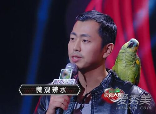 王昱珩为什么退出最强大脑
