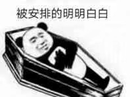 安排的明明白白是什么意思 安排的明明白白是什么梗
