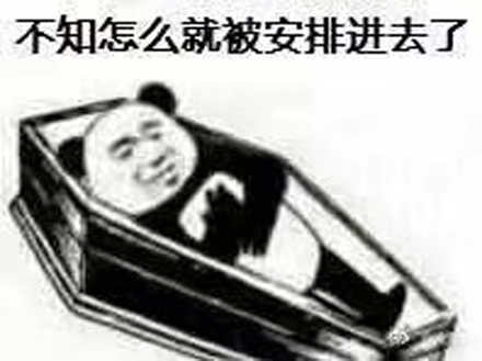 安排的明明白白是什么意思 安排的明明白白是什么梗