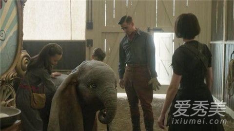 电影小飞象简介 电影小飞象多长时间