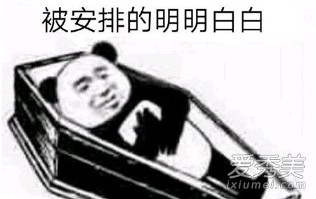 安排是什么梗 安排表情包是什么意思