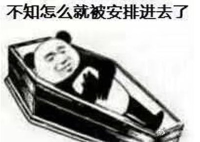 被安排的明明白白什么意思 被安排的明明白白的表情包