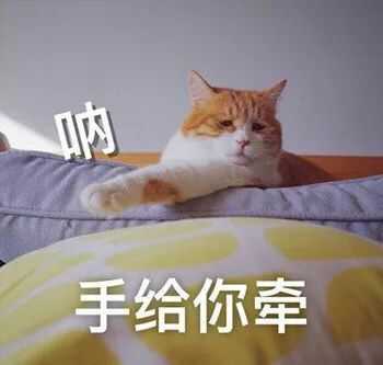 抖音撩人套路句子 抖音撩人表情包