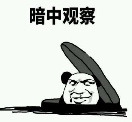 暗中观察什么意思 暗中观察表情猫