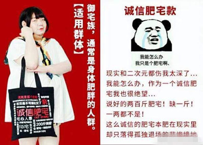诚信肥宅是什么意思 诚信肥宅表情包