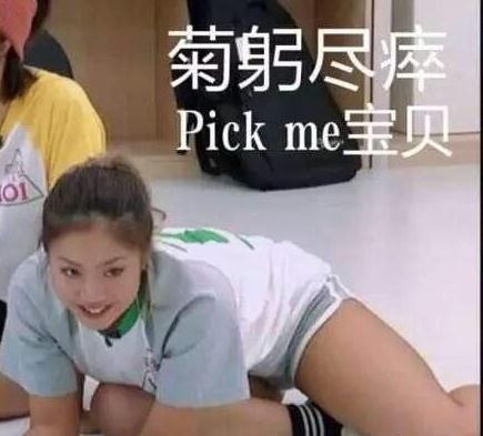 菊花宝典101是什么意思 创造101王菊经典语录大全
