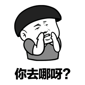 去广西一起嘛是什么梗 抖音你去哪呀去广西一起嘛表情包