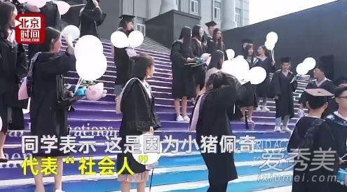 小猪佩奇毕业照是什么梗 小猪佩奇毕业照是什么意思