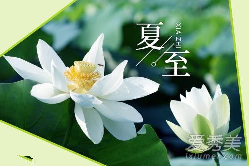 女人说夏至是什么意思 女人说夏至是什么梗