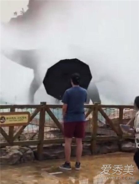 举止端庄丝毫不慌什么梗 举止端庄丝毫不慌小男孩图片