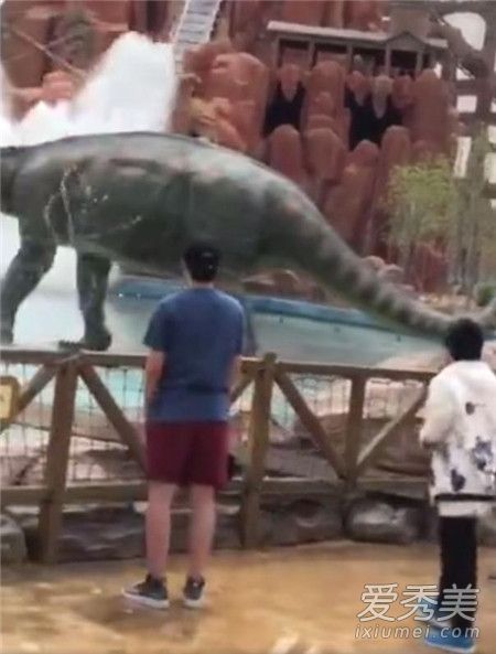 举止端庄丝毫不慌什么梗 举止端庄丝毫不慌小男孩图片