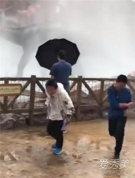 举止端庄丝毫不慌什么梗 举止端庄丝毫不慌小男孩图片