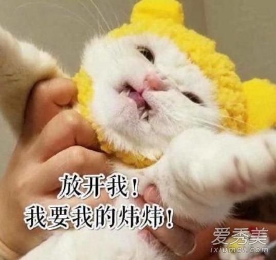 炜生素是什么梗 炜生素是什么意思