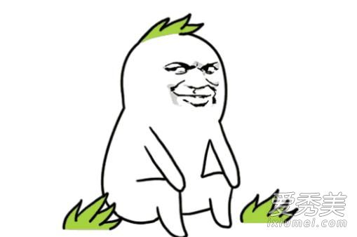 质壁分离是什么梗 质壁分离是什么意思