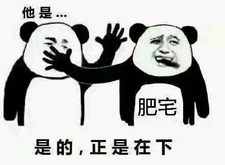 西装打团是什么梗 西装打团是什么意思