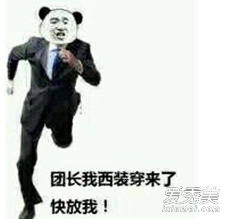 西装打团是什么梗 西装打团是什么意思