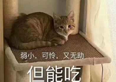 弱小可怜又无助是什么梗 弱小可怜又无助表情包