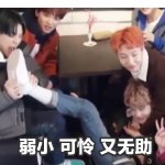 弱小可怜又无助是什么梗 弱小可怜又无助表情包