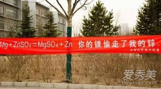 你的镁偷走了我的锌什么意思 化学表白公式大全
