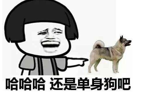 你是狗吧是什么意思 你是狗吧表情包