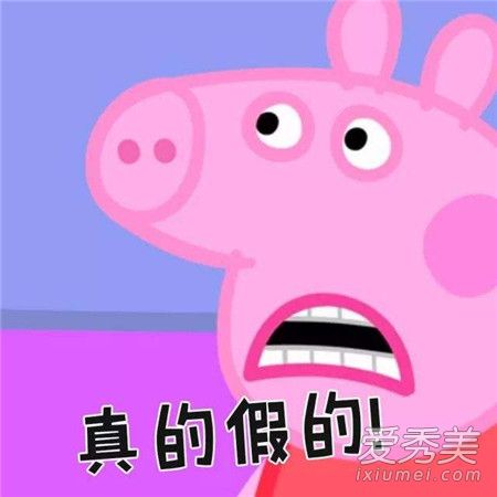 为什么说小猪佩奇社会 社会佩奇表情包