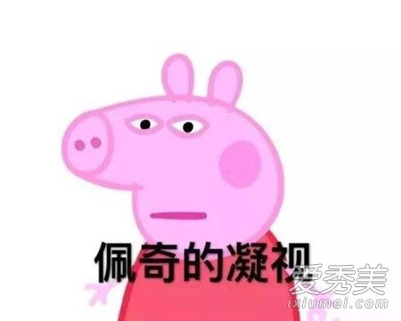 为什么说小猪佩奇社会 社会佩奇表情包