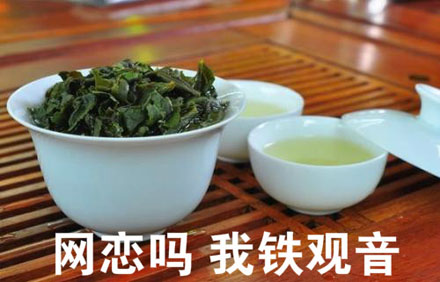 网恋吗我雷佳音是什么梗?