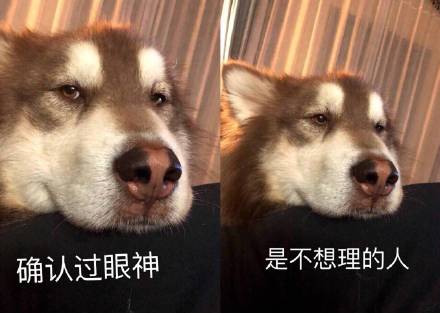 确认过眼神是什么歌?
