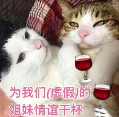 呵女人是什么意思 呵女人是什么梗