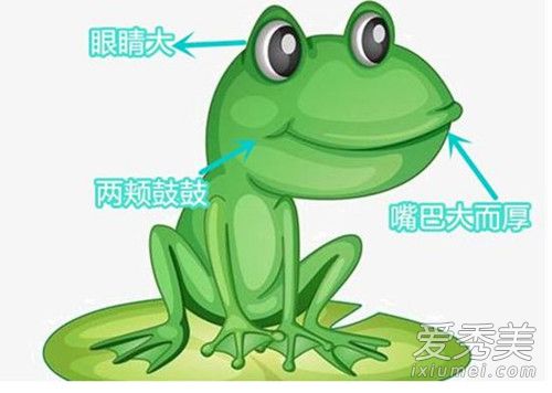 蛙系脸是什么意思 蛙系脸是什么梗