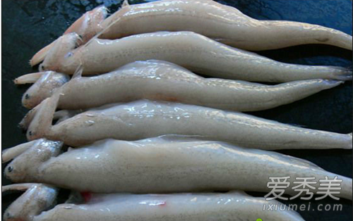 我要吃没有刺的鱼是什么梗 我要吃没有刺的鱼是什么意思
