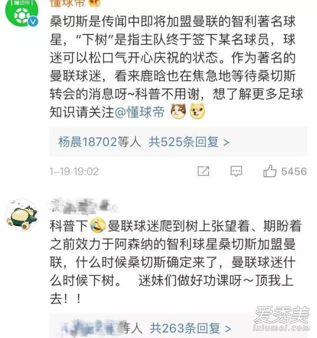 鹿晗下树了是什么意思  桑切斯下树了是什么梗