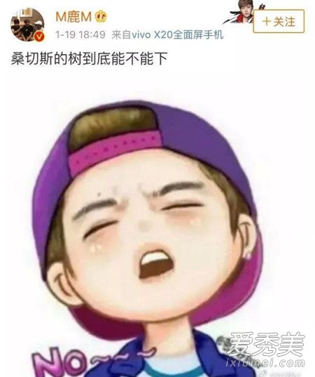 鹿晗下树了是什么意思  桑切斯下树了是什么梗
