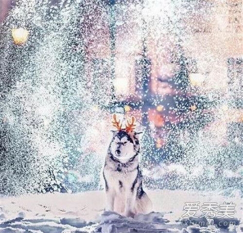 美呆了！宛如童话般的冰雪莫斯科