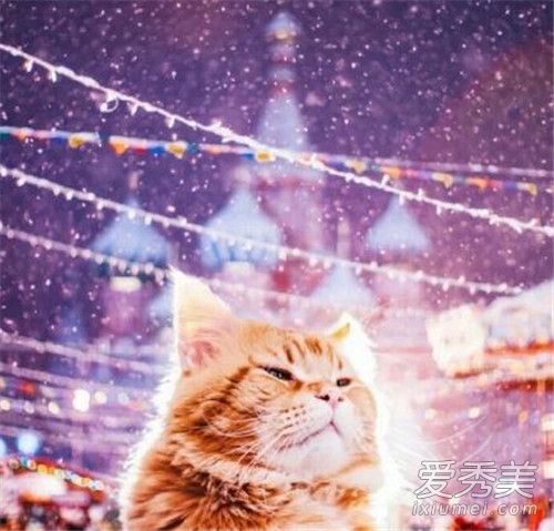 美呆了！宛如童话般的冰雪莫斯科