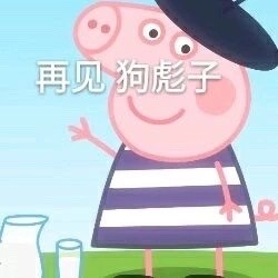 猪精女孩健康养生指南是什么 猪猪女孩和猪精女孩的区别