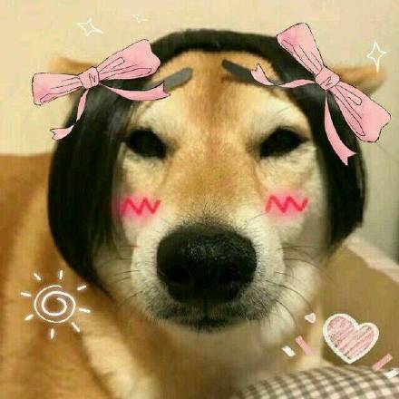猪精女孩健康养生指南是什么 猪猪女孩和猪精女孩的区别