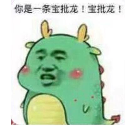 猪儿虫形容人什么意思?