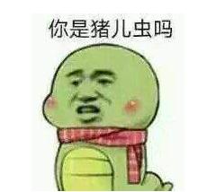 猪儿虫形容人什么意思?