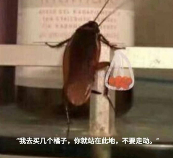 我去给你买几个橘子什么梗?