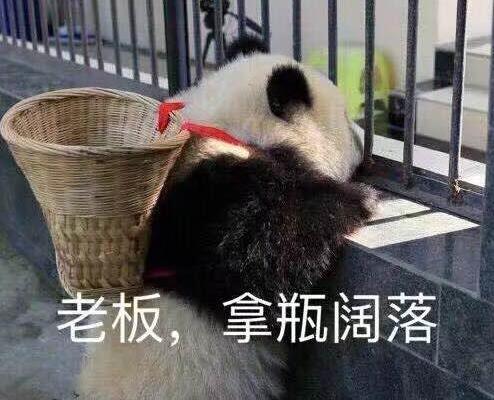 大哥喝冰阔落是什么梗?