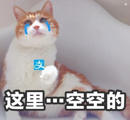 你们都是臭袜子什么意思 你们都是臭袜子表情包