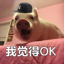 ojbk什么意思 网络用语ojbk表情包