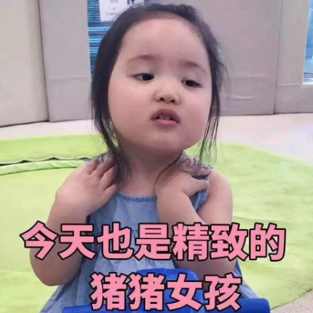 精致的猪猪女孩是什么梗 精致的猪猪女孩是什么意思