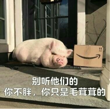 精致的猪猪女孩是什么梗 精致的猪猪女孩是什么意思