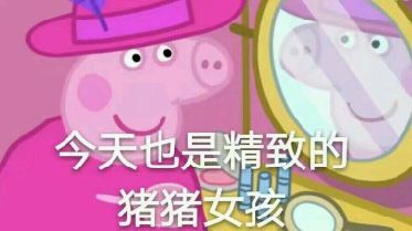 精致的猪猪女孩是什么梗 精致的猪猪女孩是什么意思