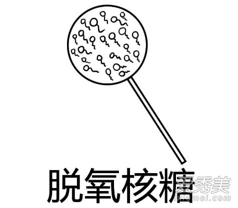 脱氧核糖是什么梗 我请你吃脱氧核糖是什么意思