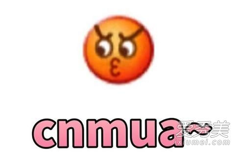 cnmua什么意思 cnmua的表情包大全
