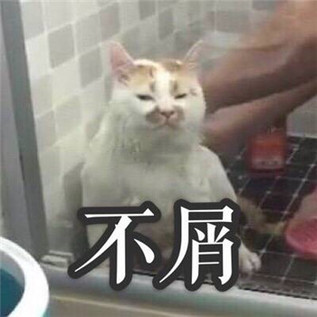 很多人可能不知道楼楼的名字却一定用过它的表情包
