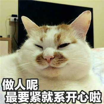 很多人可能不知道楼楼的名字却一定用过它的表情包